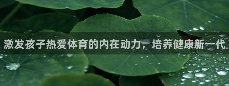 哈哈体育：激发孩子热爱体育的内在动力，培养健康新一代