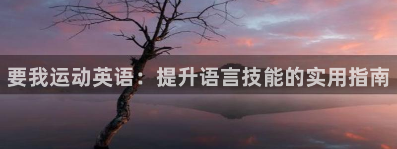 哈哈体育十年：要我运动英语：提升语言技能的实用指南