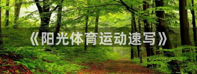 哈哈体育下载：《阳光体育运动速写》