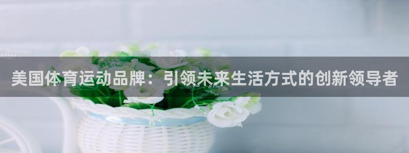 哈哈体育：美国体育运动品牌：引领未来生活方式的创新领导者