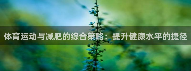 哈哈体育下载：体育运动与减肥的综合策略：提升健康水平的捷径
