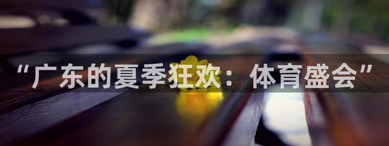 哈哈体育十年：“广东的夏季狂欢：体育盛会”