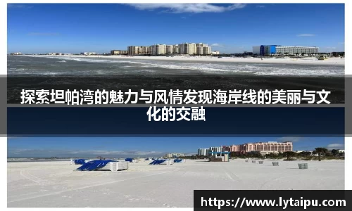 探索坦帕湾的魅力与风情发现海岸线的美丽与文化的交融