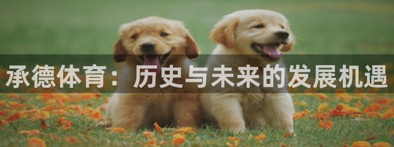 哈哈体育十年：承德体育：历史与未来的发展机遇