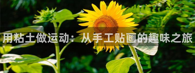 哈哈体育：用粘土做运动：从手工贴画的趣味之旅
