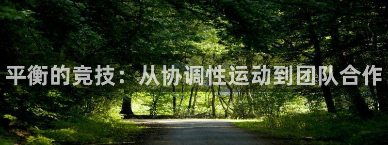 哈哈体育十年：平衡的竞技：从协调性运动到团队合作